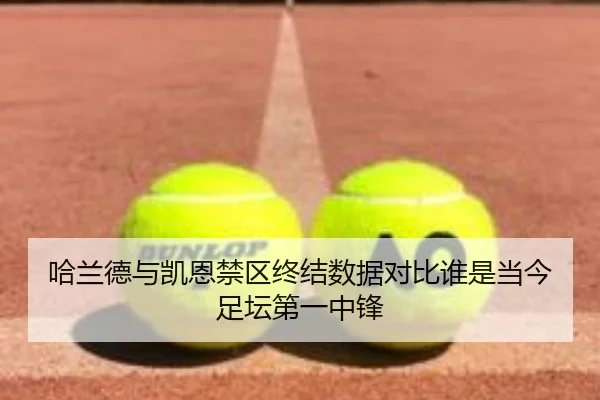 哈兰德与凯恩禁区终结数据对比谁是当今足坛第一中锋